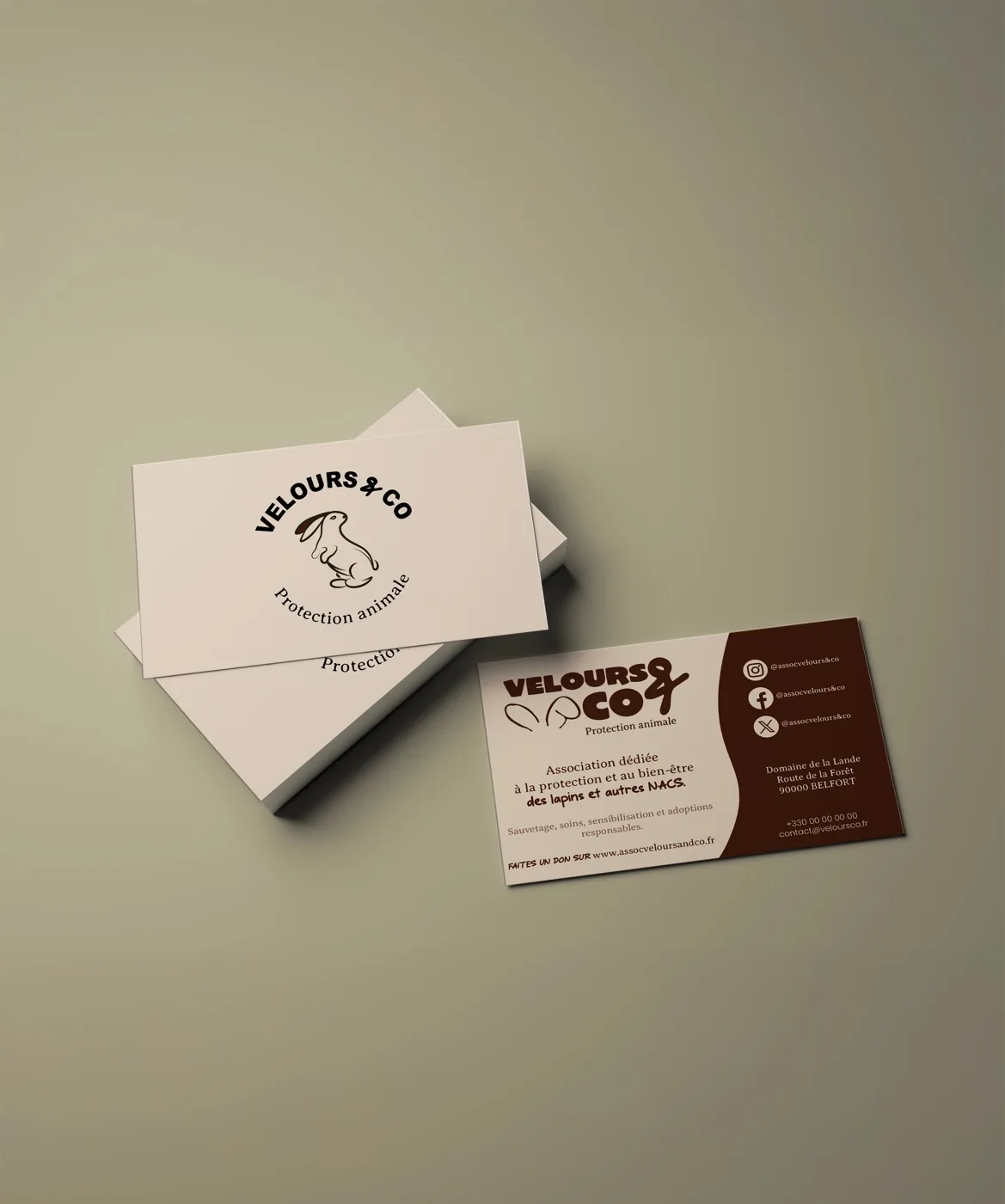 Cartes de visite Velours & Co, association de protection animale